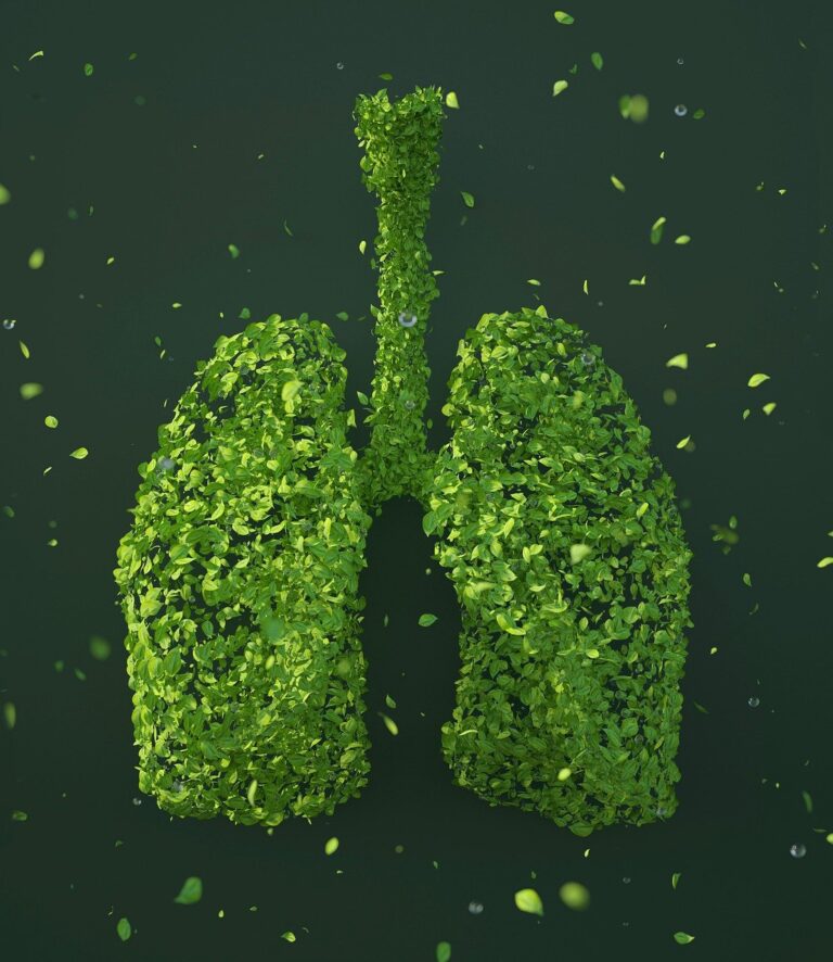 leaves, lungs, sustainability